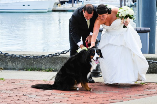 Lindsey & Andrew Newport Wedding_007